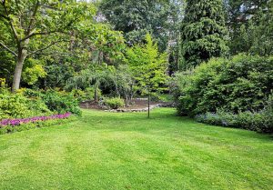 Optimiser l'expérience du jardin à Locarn